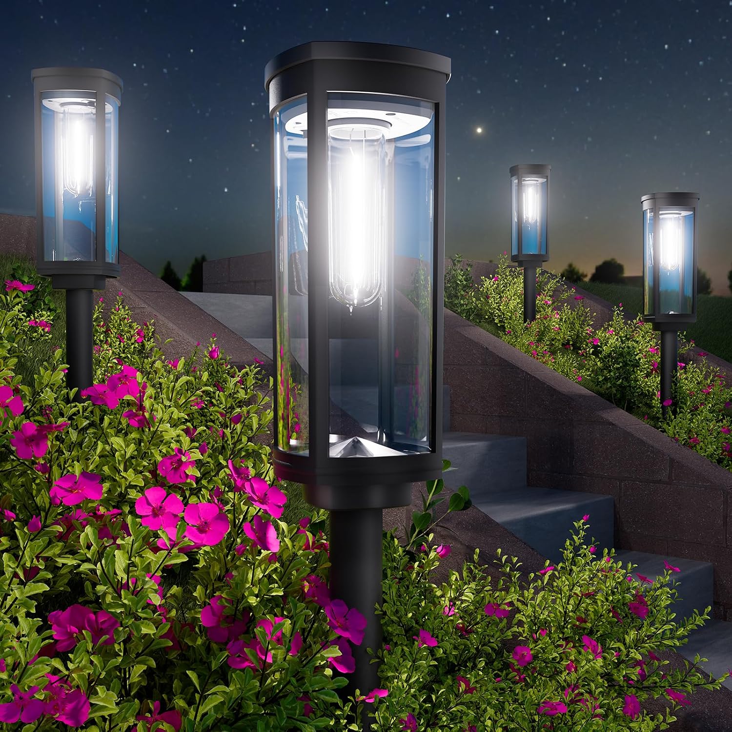 8 Pack Solar Pathway Lights